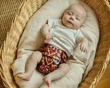 Bells Bumz Z Wraps - Prices from