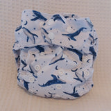 Preloved Reusabelles AIO nappy