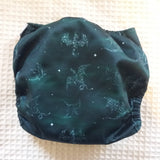 Preloved Reusabelles AIO nappy